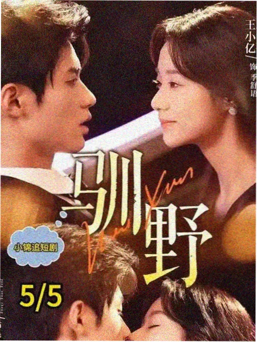 花蝴蝶6免费高清电视剧观看 风云篇